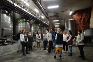Тур Сіль і шампанське: Бахмут, завод ігристих вин Artwinery